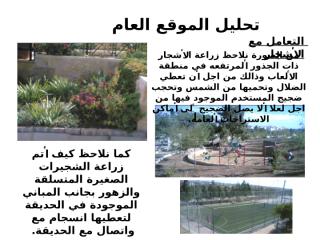 حدائق الحسين2.pptx