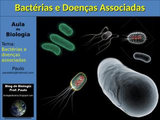 Aula_bacterias_doencas.pps