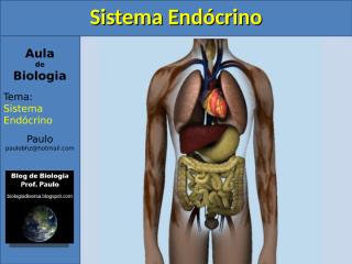 Aula_Sistema_Endocrino.pps