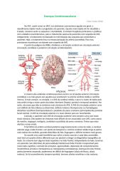 Doenças Cerebrovasculares 2013.docx